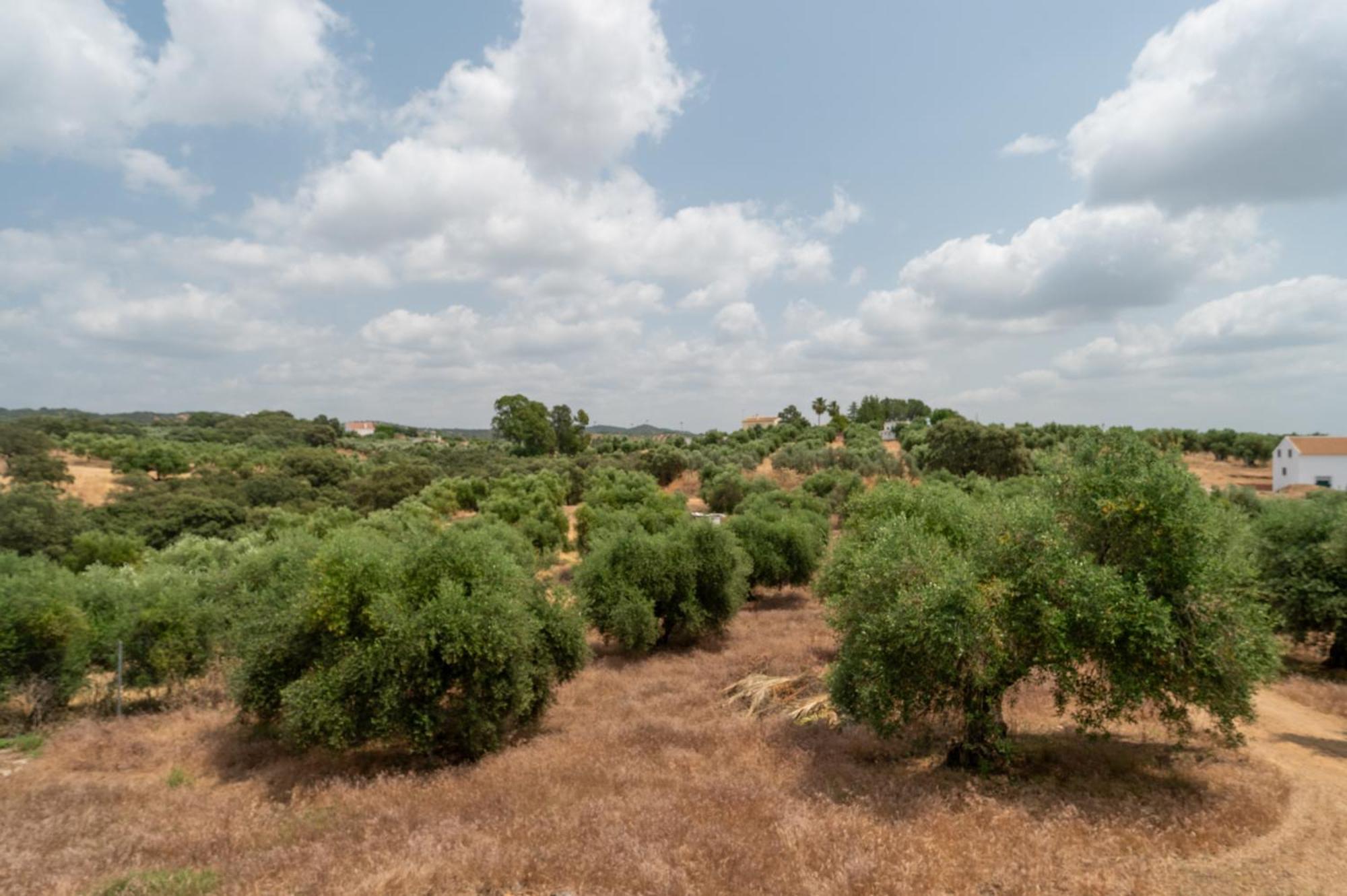 Casa Rural Villa Mara La Puebla de los Infantes Εξωτερικό φωτογραφία